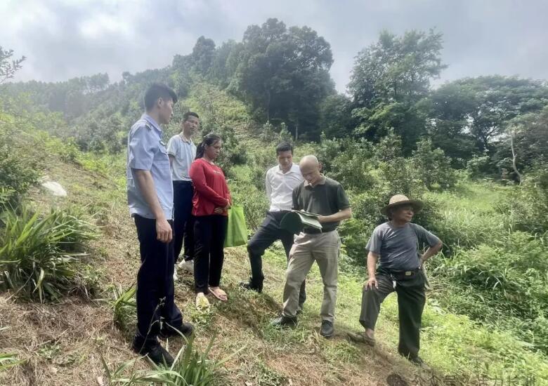 �����γ��ޡ����ƶ������ҡ������г��